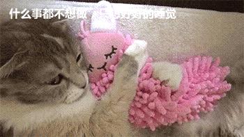 月经期要注意的那些事儿,月经期的症状和怀孕的一样吗