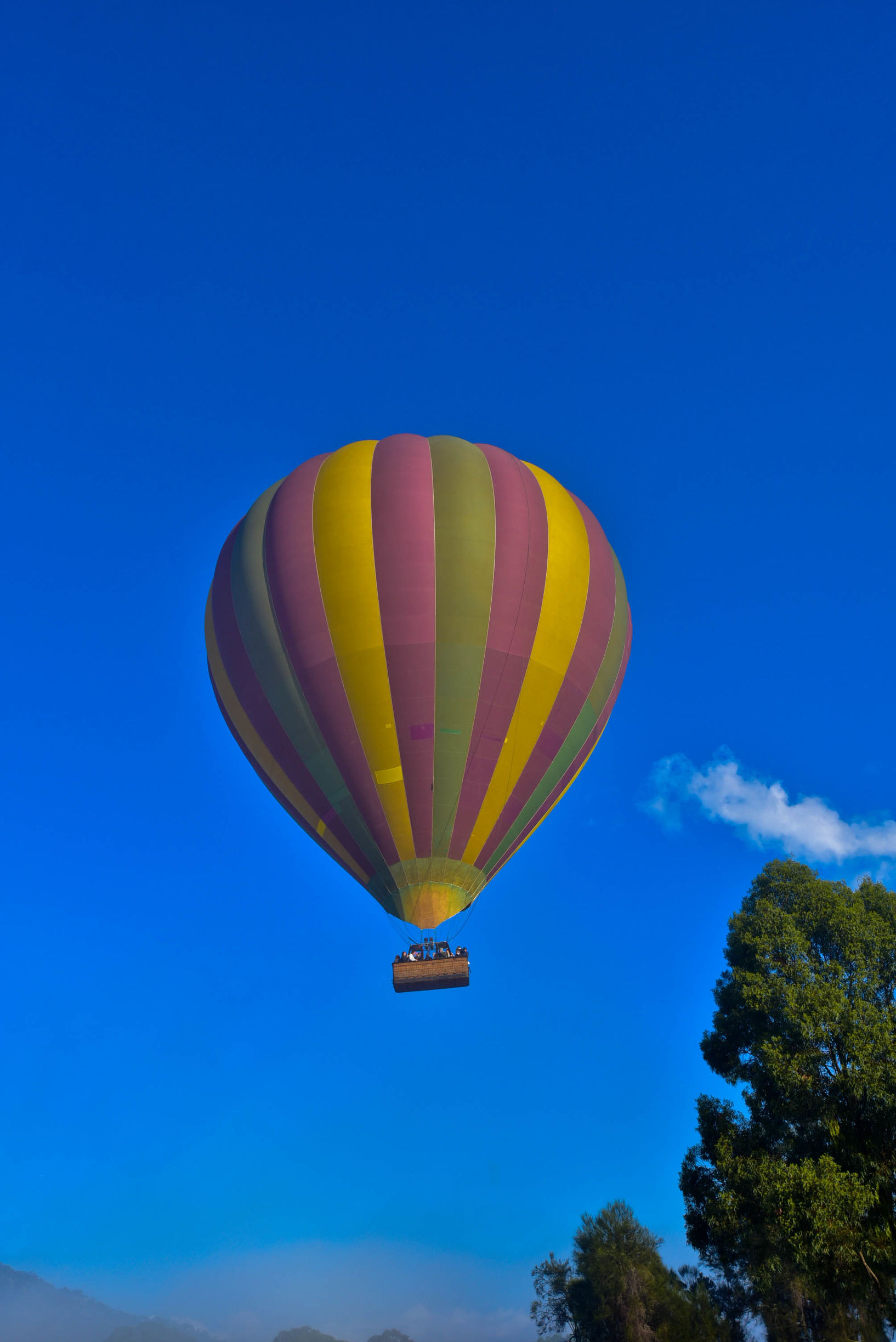 在猎人谷邂逅美酒和热气球