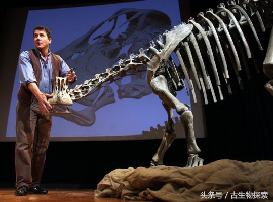 尼日尔龙:恐龙中的吸尘器