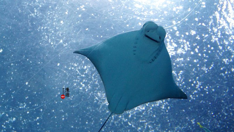 长隆亲子两大两小旅游攻略,珠海长隆横琴湾酒店亲子攻略