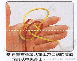 东东画眉鸟套之各种好看实用的绳套你了解吗？