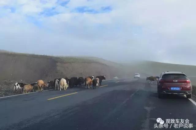 70后大叔徒步回家,70后大叔在家自驾游