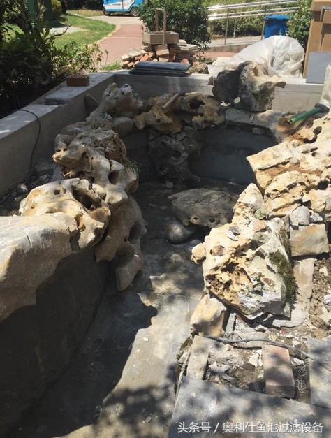 简单实用小庭院鱼池,庭院鱼池改造设计图片