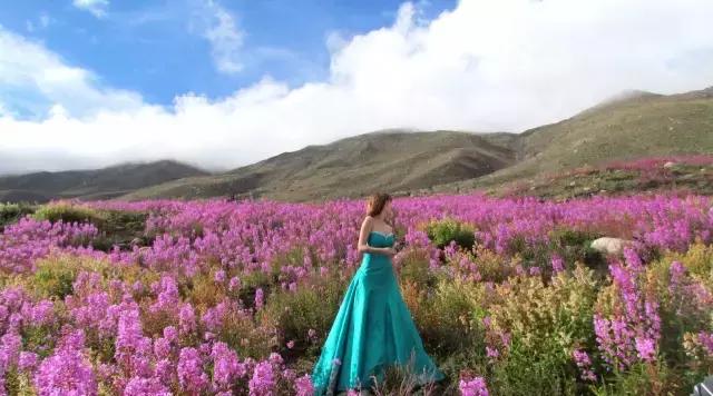 川西康定木格措,四川川西康定风景