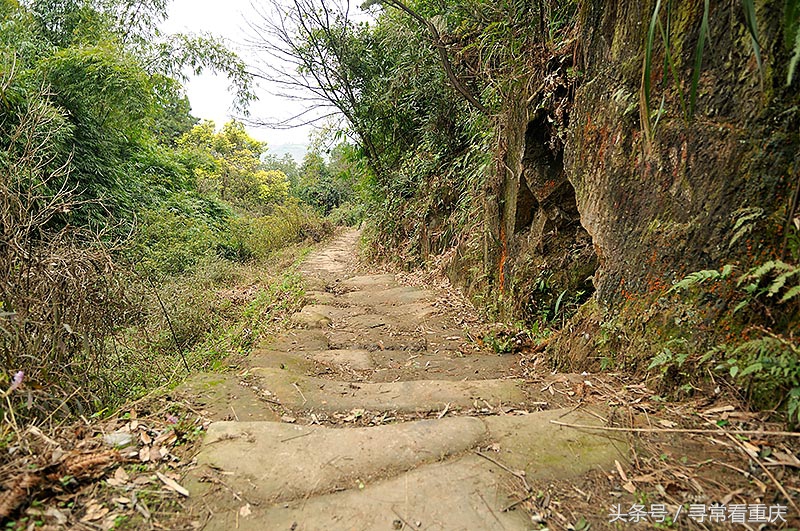 綦江渝黔盐茶古道,探秘鬼传说