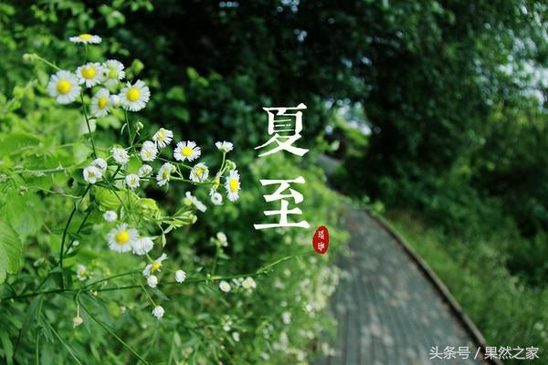 入夏喝生姜红枣好吗,春夏养阳吃姜的方法