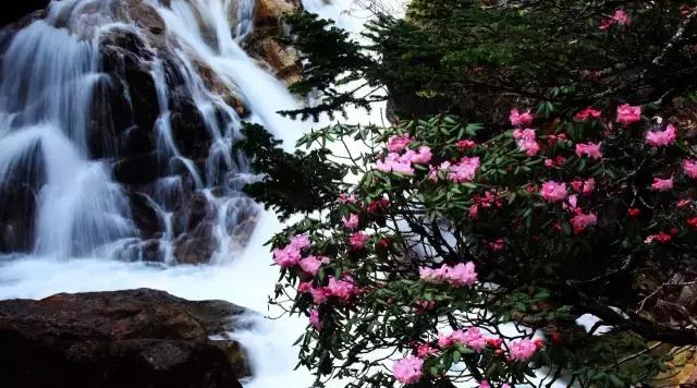 川西康定木格措,四川川西康定风景
