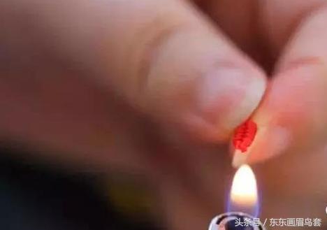 东东画眉鸟套之各种好看实用的绳套你了解吗？