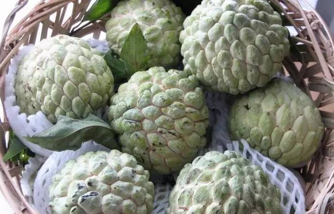 只有潮汕人才知道的花生牛奶,汕头特色水果品种有哪些