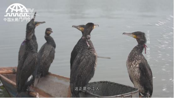 美丽中华行,美丽中华行尧坝