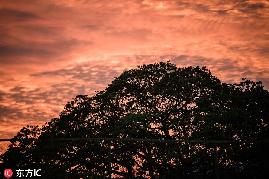 世预赛亚洲区中国队输给谁啦,世预赛亚洲区12强赛分析