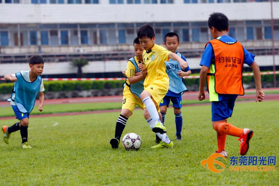 足球胜负怎么理解,如何做到足球胜负分析精准