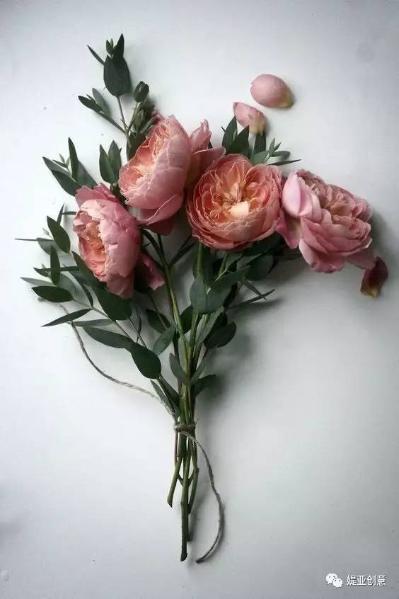 盘点7种人气最旺的花材,10种最暖心的花