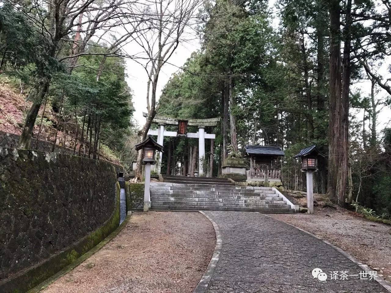 找茶旅记-日本找茶记之飞弹高山，体验最原汁原味的日本！