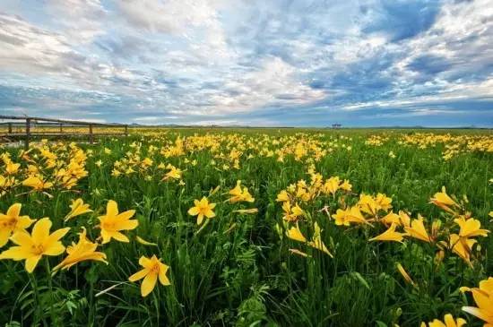 沽源草原天路全景,沽源草原天路怎么样