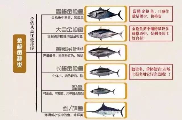 金枪鱼罐头的吃法大全图解,金枪鱼罐头美食