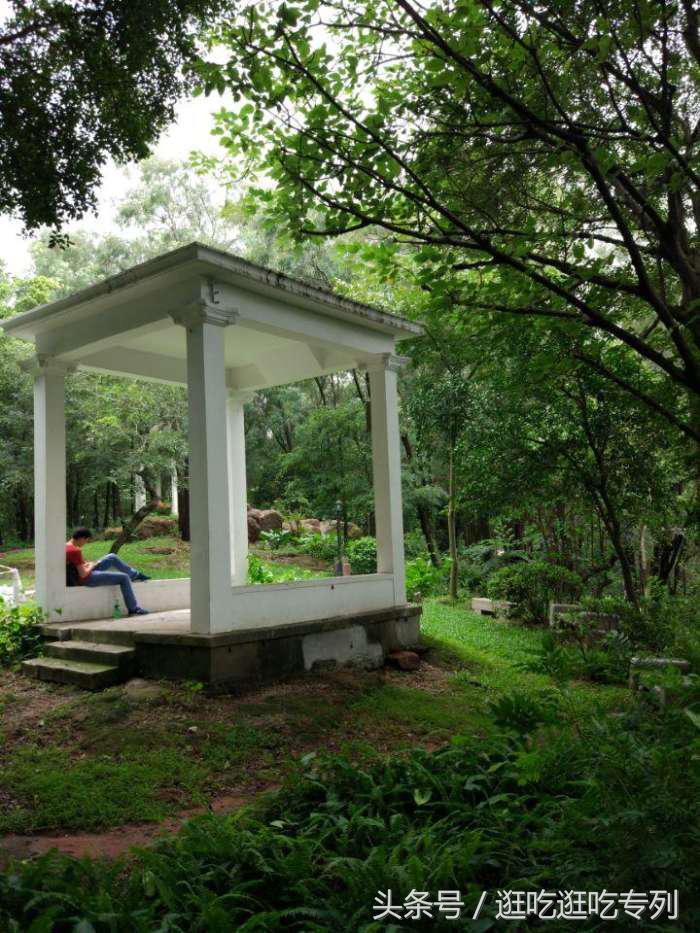 广州蟹山公园,广州蟹山公园免费吗