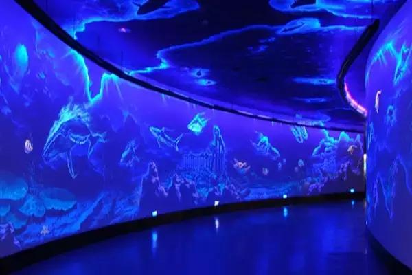 北京交通大学值得报考吗,考上北京交通大学意味着什么