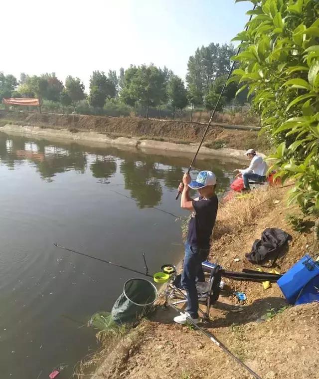 河南最近有哪些钓鱼比赛,南阳钓鱼竞技比赛