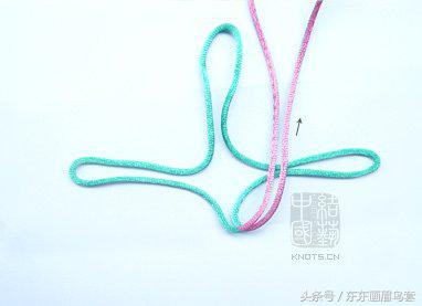 东东画眉鸟套之各种好看实用的绳套你了解吗？