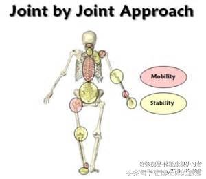 颈肩痛肌肉锻炼怎么练,胸椎灵活性差导致肩颈疼痛
