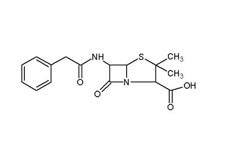 霉菌分两派，有的使好，有的使坏！