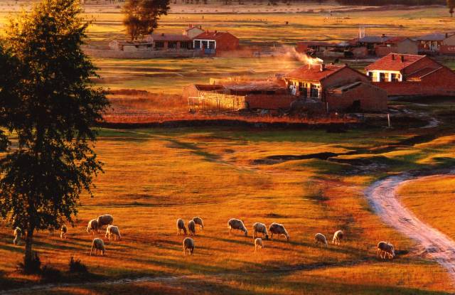 沽源草原天路全景,沽源草原天路怎么样