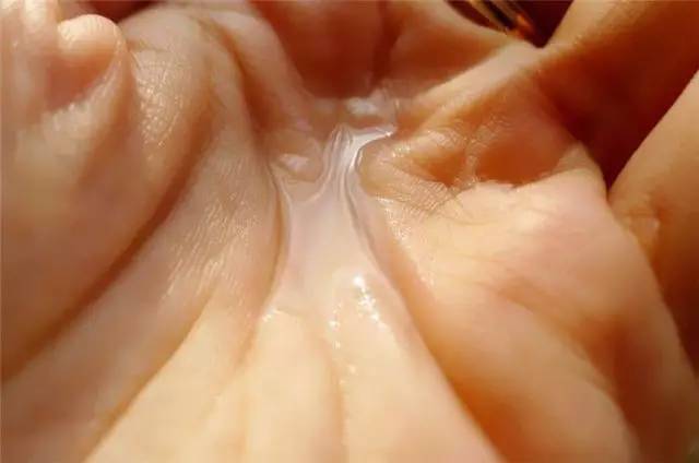 日本资生堂顶级护肤品,日本资生堂是否世界500强