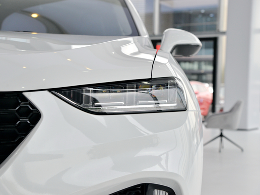 weyvv7哪款好,weyvv7真实优缺点