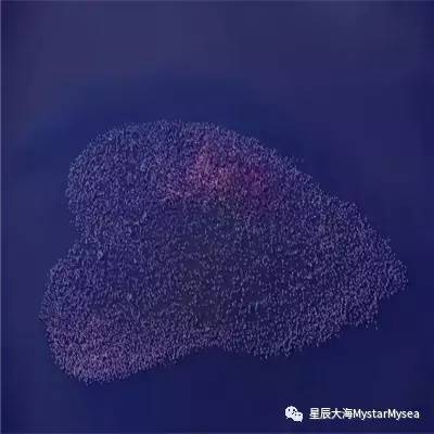 作为一名不红的演员是什么体验,当演员真的有出路吗