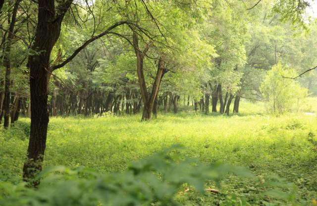 沽源草原天路全景,沽源草原天路怎么样