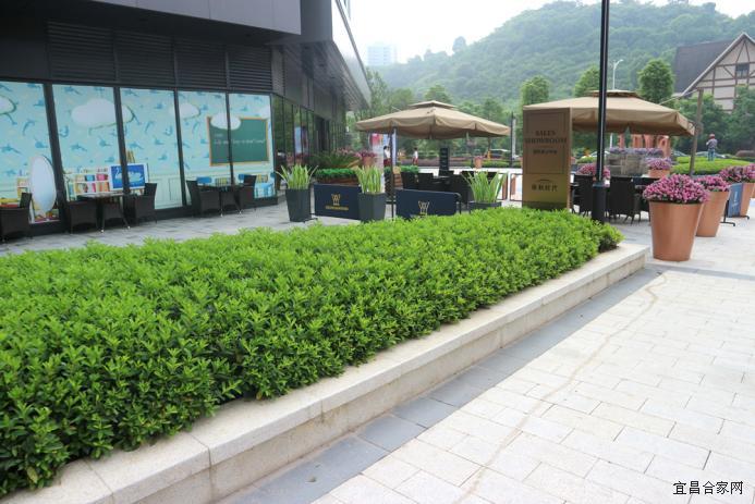 宜昌保利时代样板,宜昌保利时代的房子值得买吗