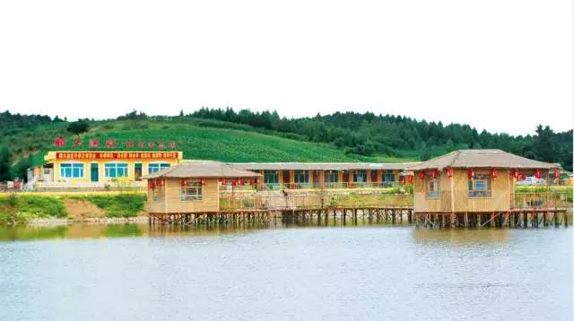 辽源十大美食排行榜前十名,辽源顾大山庄烤全羊价格