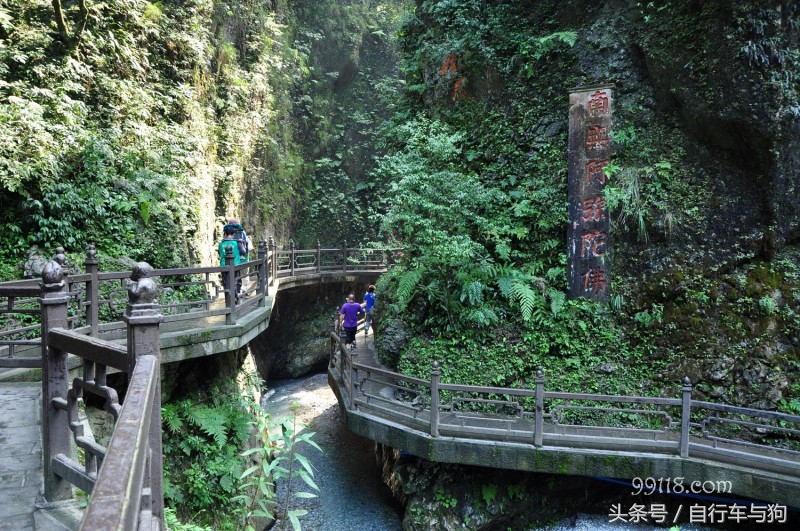 三大家一起游峨眉山,23岁女生独游峨眉山失联