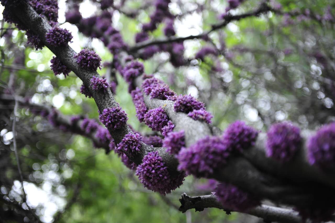 临沂二十四中2019年高考,临沂二十四中2019高考成绩