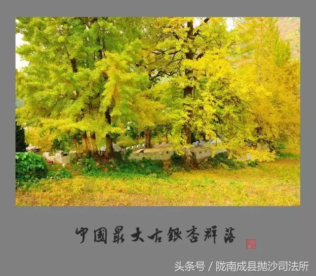 大美陇南是我的故乡,大美陇南风景如画