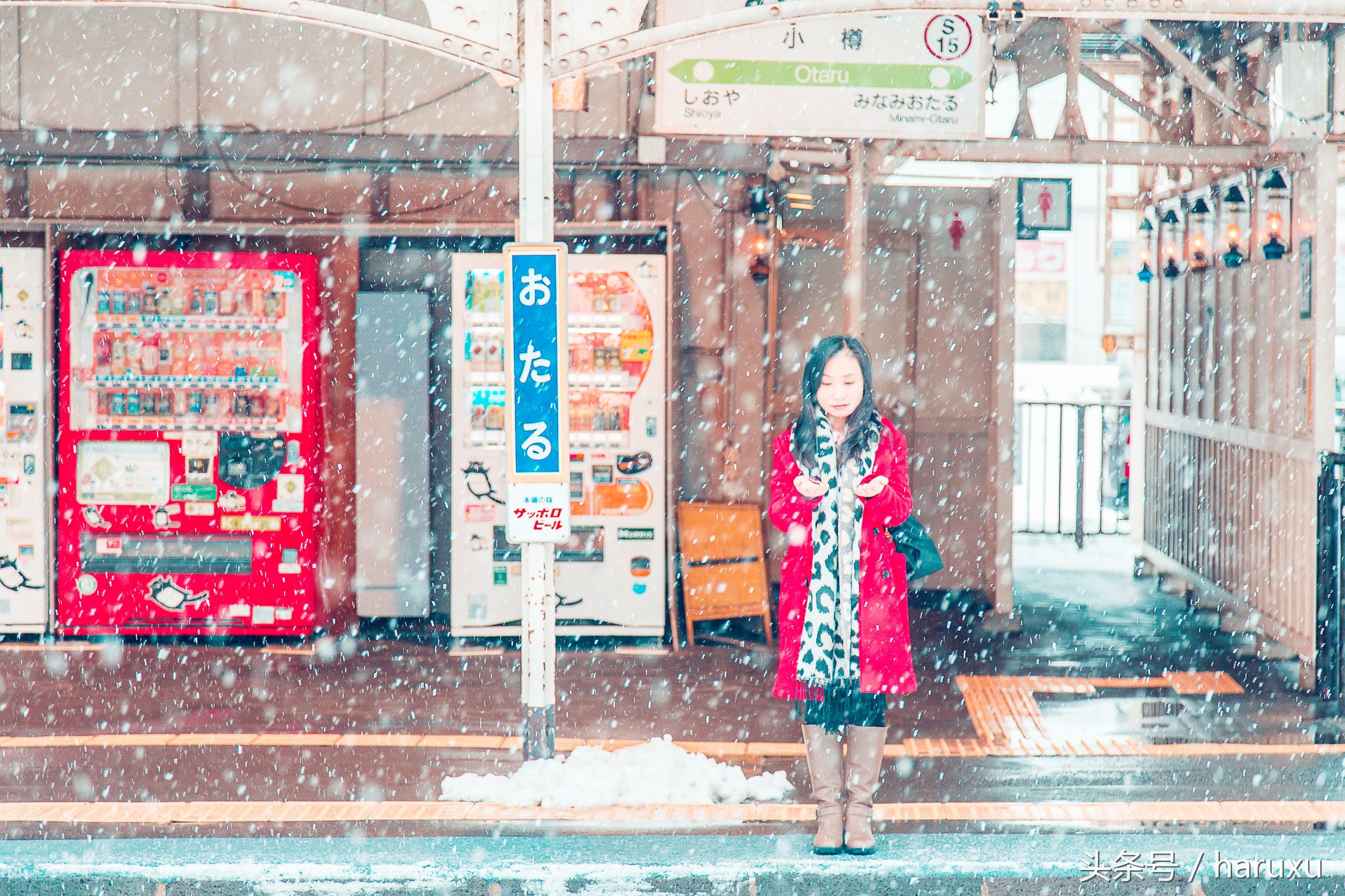 跟着电影《情书》，漫步在小樽的纯白世界