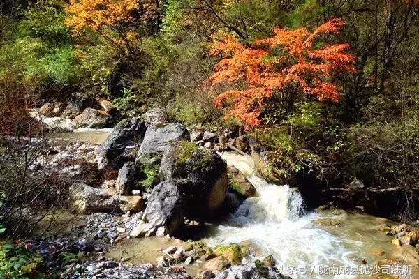 大美陇南是我的故乡,大美陇南风景如画
