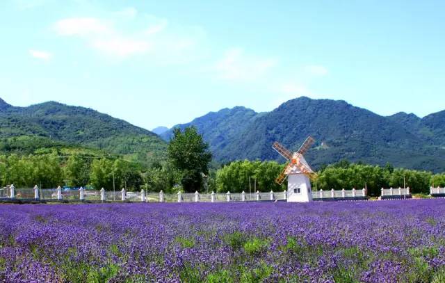 西安最有名旅游景点排名,西安十大值得去的景点排名