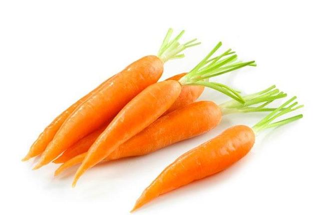 妞嶇墿鐣屼簰鐩搁櫔浼寸殑妞嶇墿,妞嶇墿鐣岀殑濂芥湅鍙嬫湁鍝簺