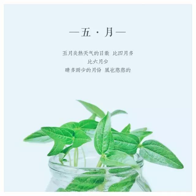 学了那么多拍照姿势还是用不上,学了多年摄影