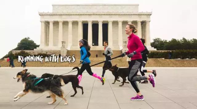 讲真｜论跑步，你可能还不如你家狗！