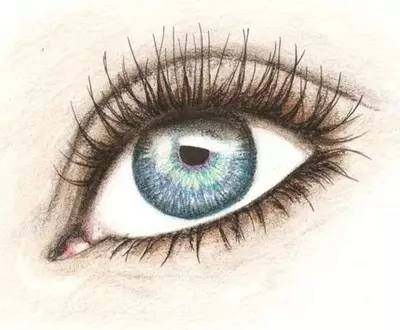 哪种眼霜紧致抗皱最好,哪种眼霜抗细纹的功效最好