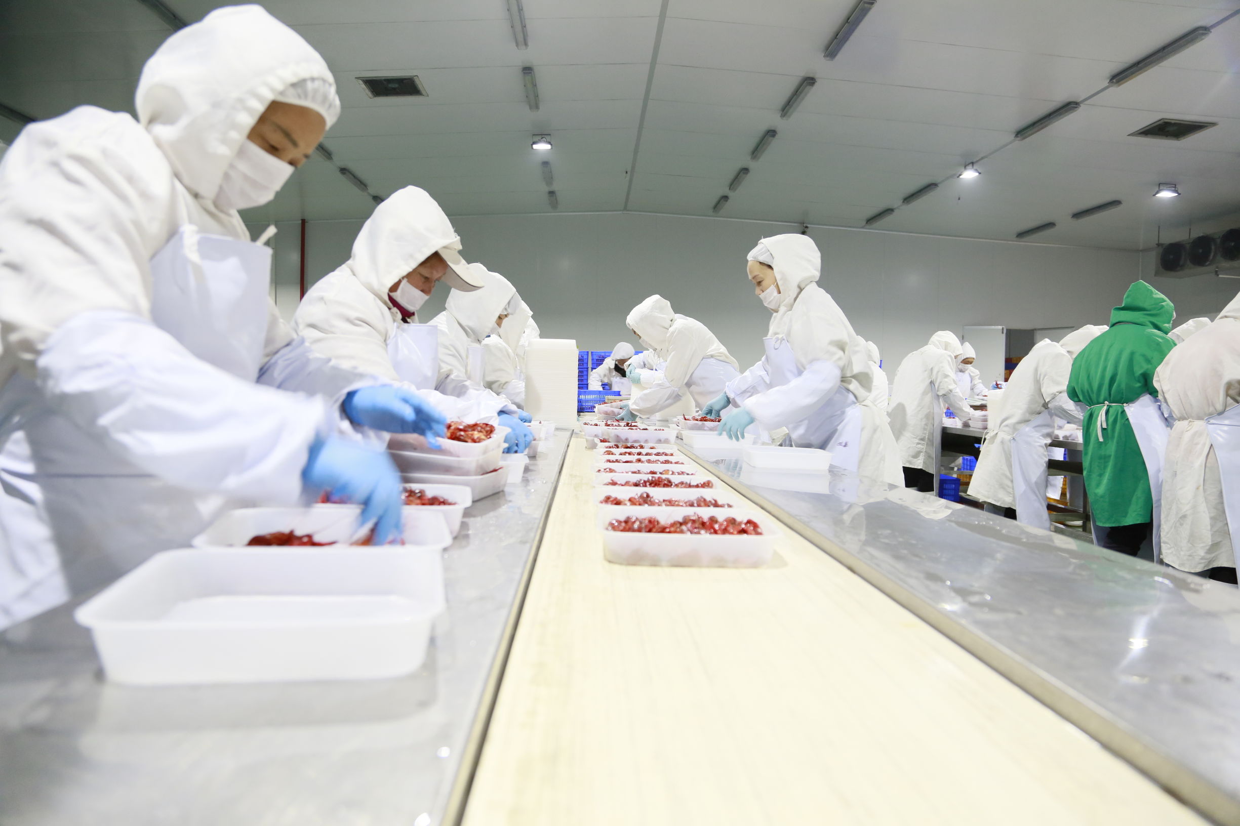 清华虾哥致定西学弟：职业无贵贱、学成来做虾