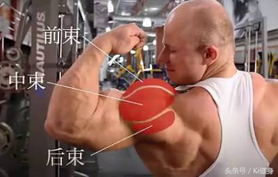 想练基本功要怎么说,肩膀的肩肌如何训练最有效