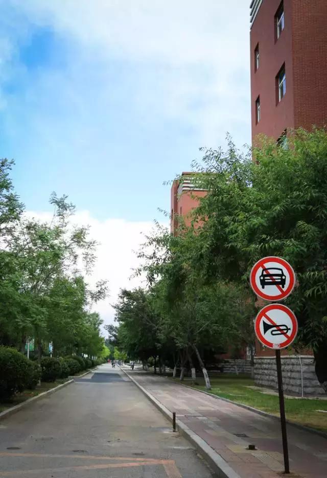 沈阳师范大学回忆,再见青春再见过往