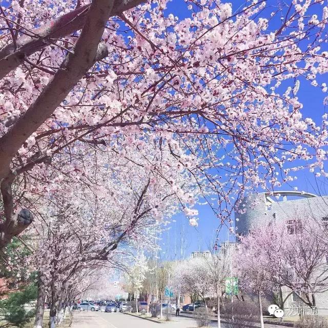 沈阳师范大学回忆,再见青春再见过往