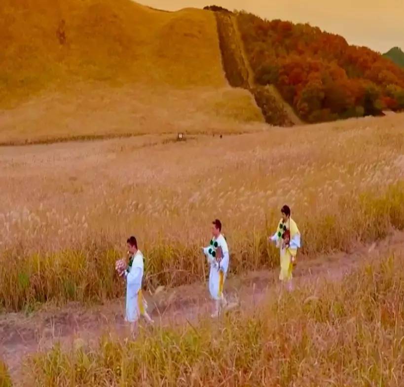 SASAYURI让你从此爱上（日本的田舍）