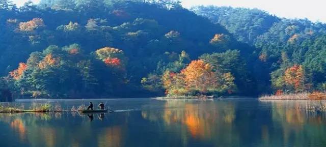 合青高铁滁州段,合青高铁明光进展情况