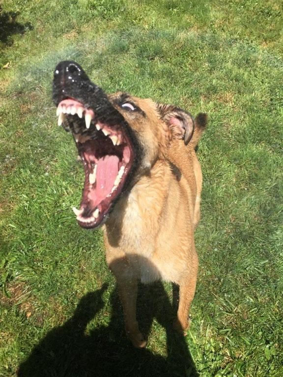 韩国专属“火病”又能申遗了!每日轻松一刻6月27日午间版